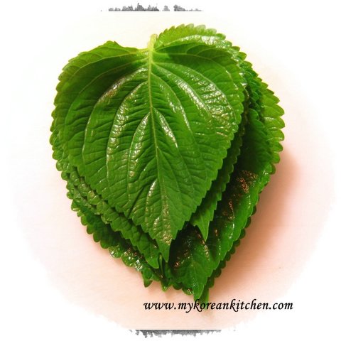 Sesame leaves