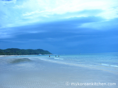 from Moreton island 2003