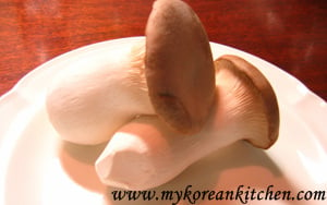 king oyster mushroom