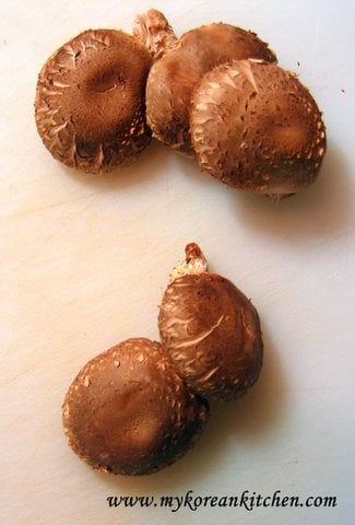 Shiitake mushroom2.jpg