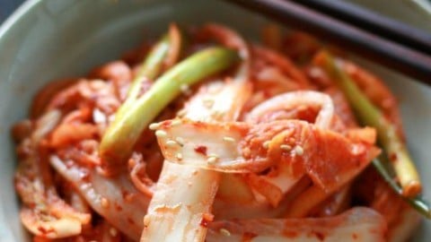 Fresh Cabbage Kimchi Recipe