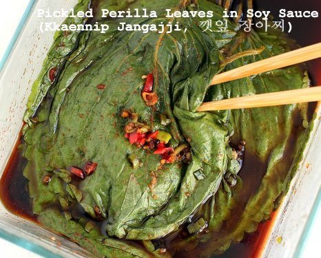 green perilla dressing Hikari Foods Certified Organic Shiso Perilla Oil-Free Dressing 200ml main image 0