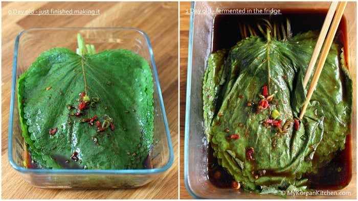 Pickled Perilla Leaves in Soy Sauce (Kkaennip Jangajji) comparison | MyKoreanKitchen.com