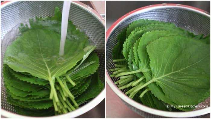 Step 1. Washing & drying perilla leaves