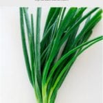 How to store green onions fresh | MyKoreanKitchen.com
