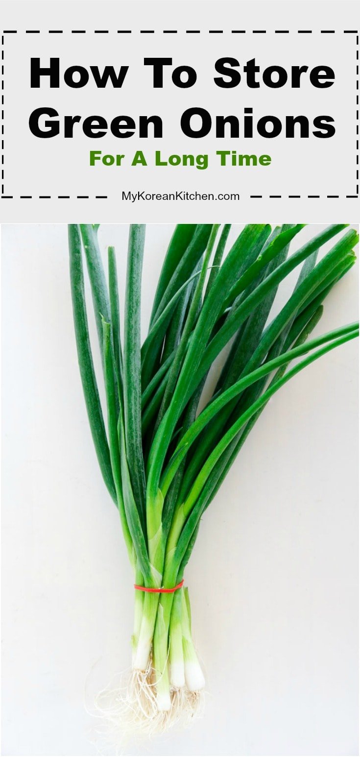 how-to-store-green-onions-in-the-fridge