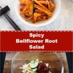 Doraji Muchim (Spicy Bellflower Root Salad) | MyKoreanKitchen.com