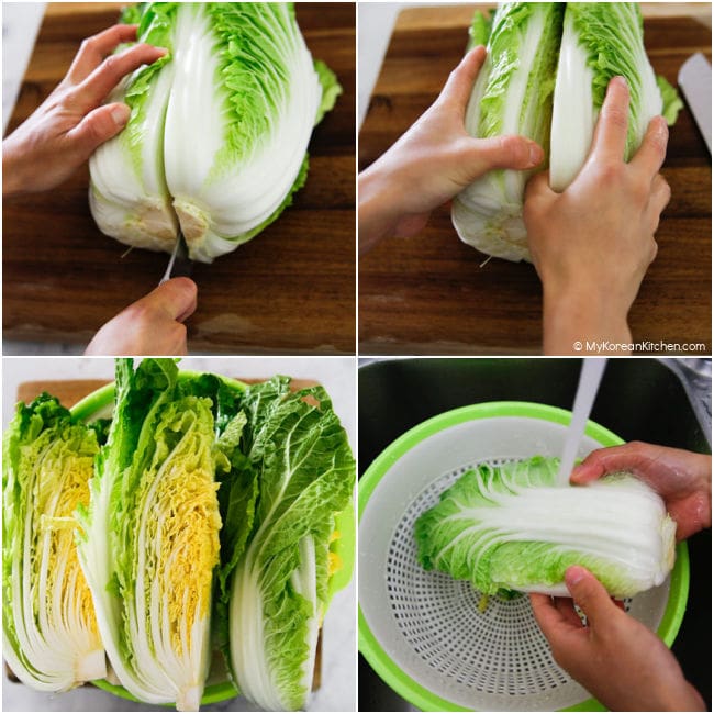 Cutting up cabbage for kimchi