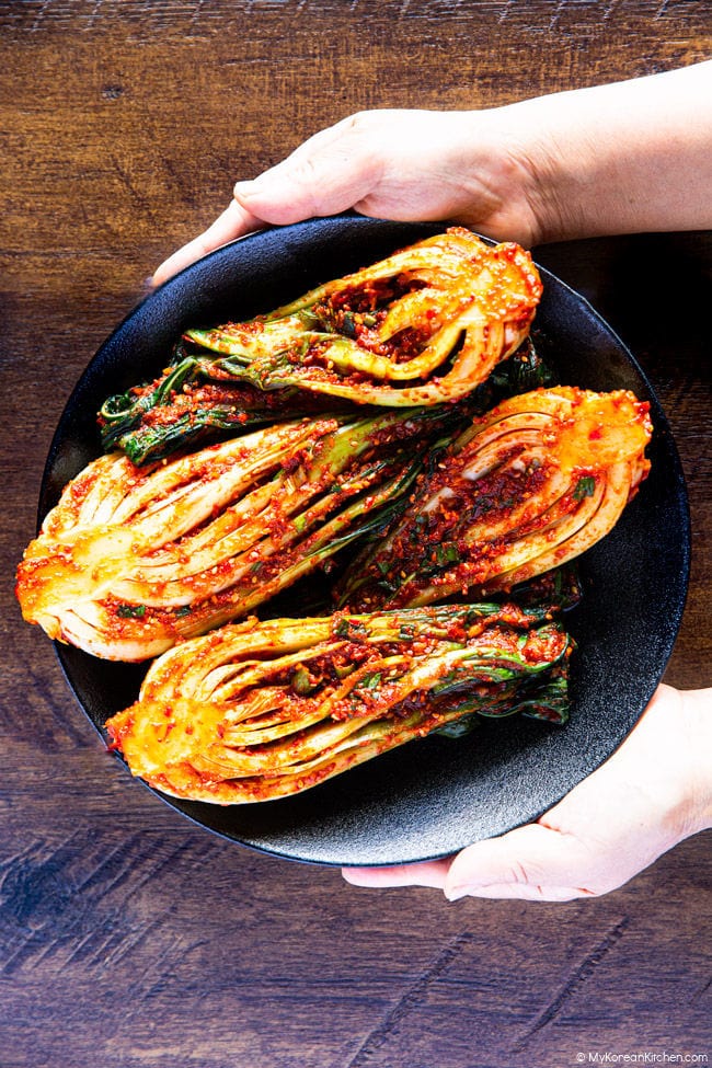 Homemade bok choy kimchi served in a black bowl held with both hands