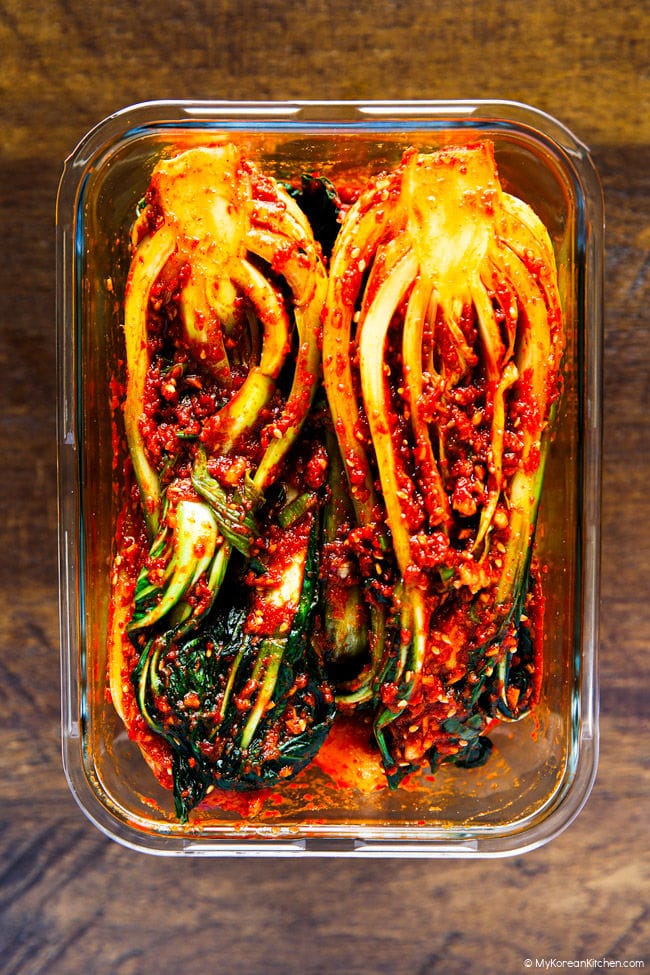 Freshly made bok choy kimchi stored in a glass container