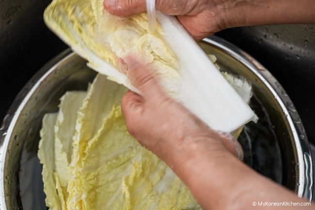 Rinsing napa cabbage under running water